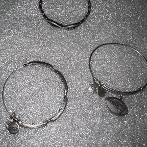 Alex n Ani Silver Charm Bracelet Set